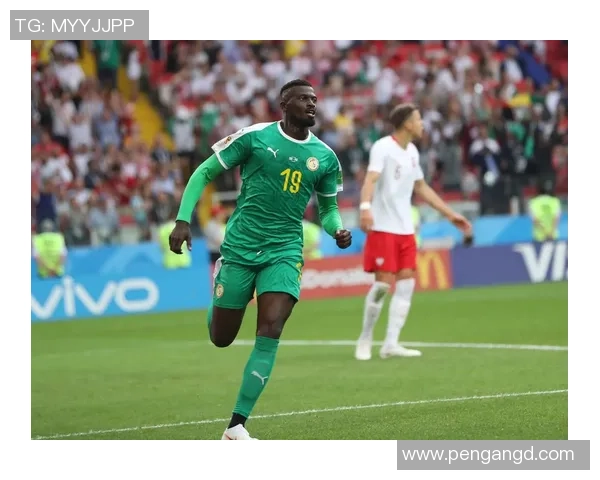 塞内加尔足球明星球员及其在国际赛场上的表现分析 塞内加尔足球明星球员及其在国际赛场上的表现分析