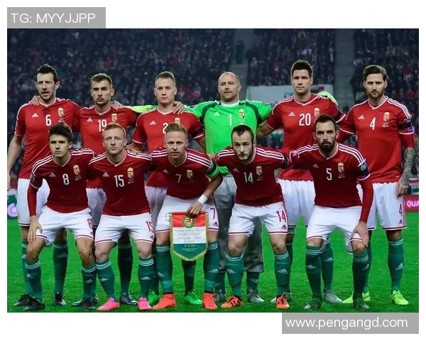 奥地利足球队的传奇球星盘点及其影响力分析 奥地利足球队的传奇球星盘点及其影响力分析