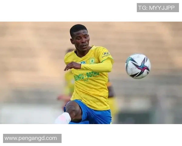 最新南非足球球星实力排名榜揭晓 谁是最具影响力的顶级球员