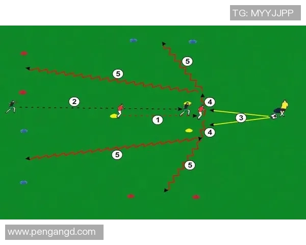 聚焦室内足球明星成长之路与竞技风采全面解析