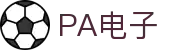 PA电子·(中国区)官方网站
